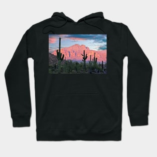 Cactus Sunset Hoodie